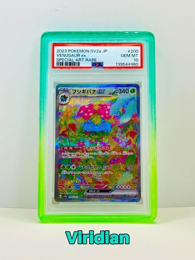 BumperGuard Viridian