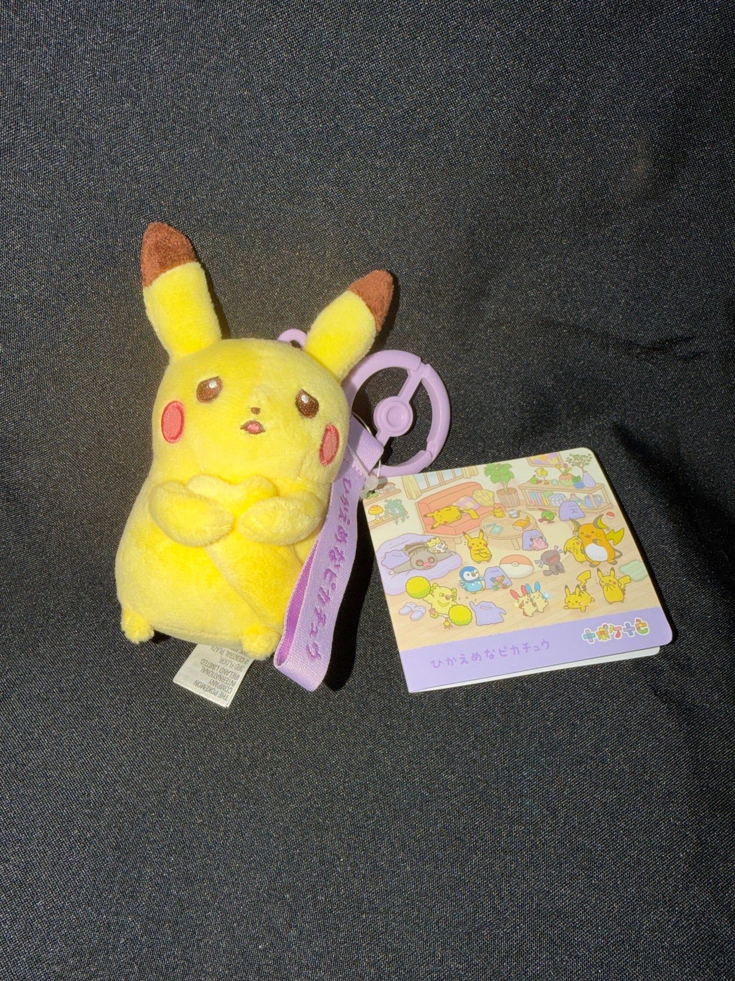 Pokemon Center TM Pikachu 30th Violet Portachiavi