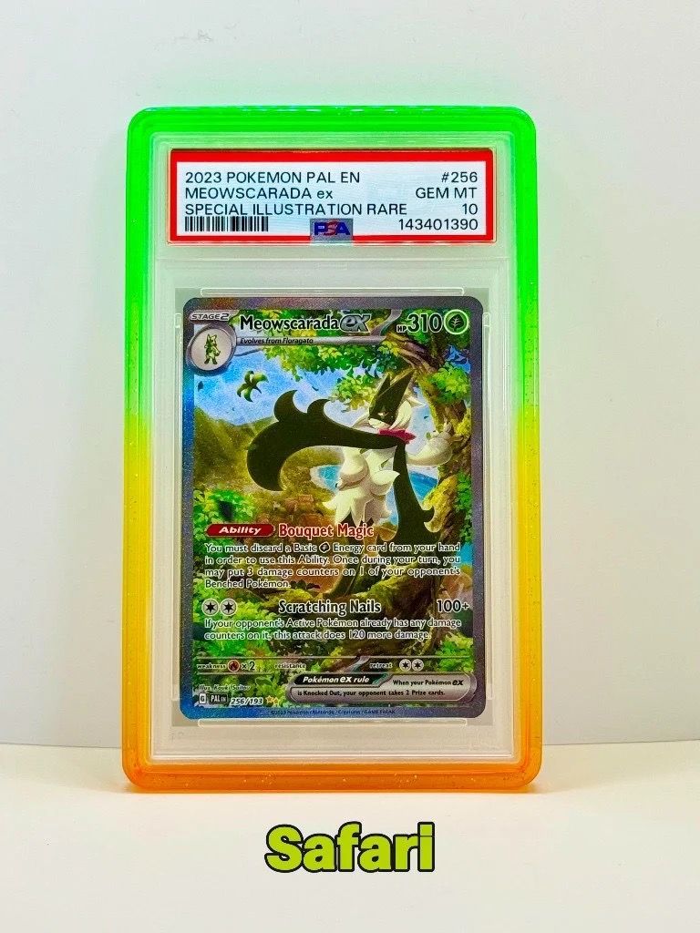 BumperGuard Safari