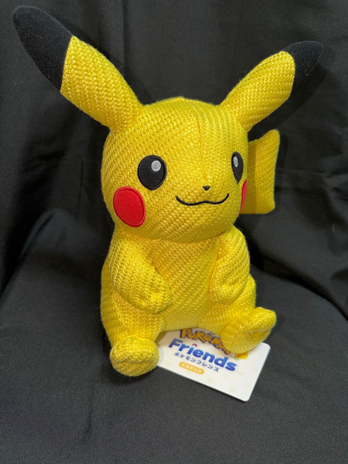 Pokemon Center TM Pikachu Friends Sew